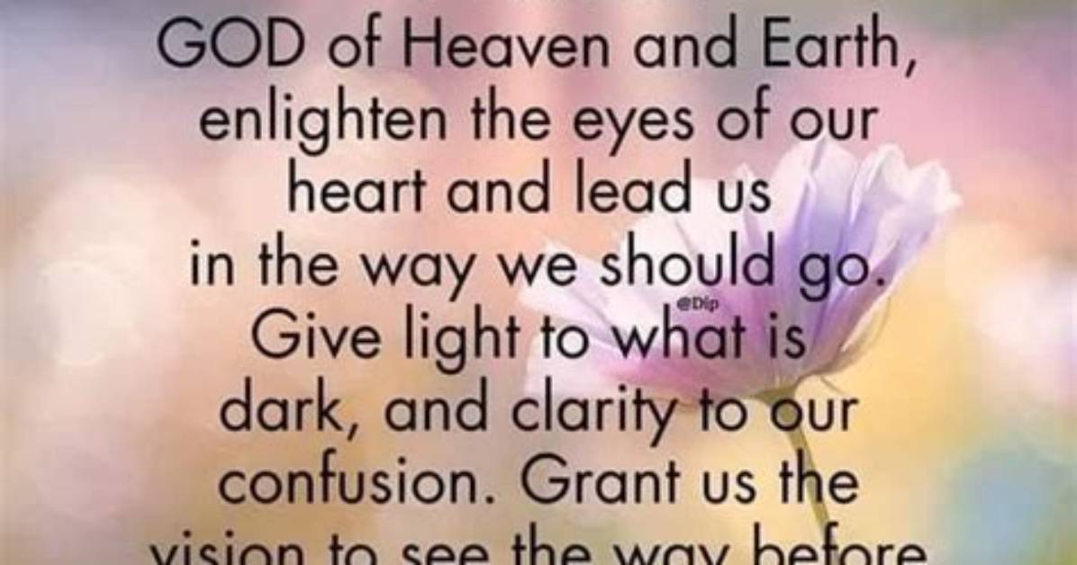 Explore the Wisdom of Renee M. Paidle