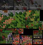 Explore the World of Tibia