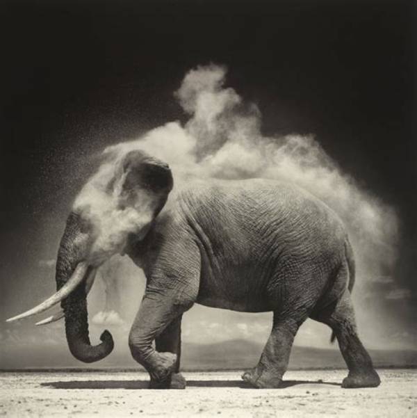 Exploring Nick Brandt's Personal World
