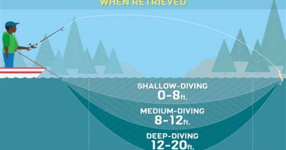 Exploring the Depths of Hollow Bait Type Soul
