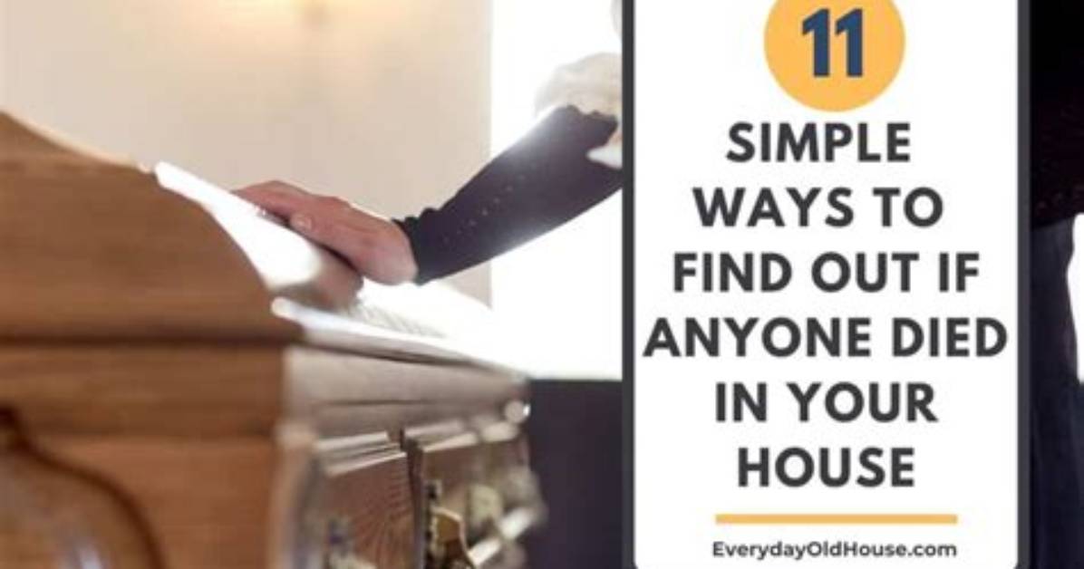 Exploring the Question: Has Anyone Died in Alone?