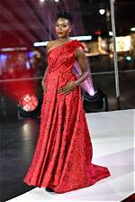 Folake Olowofoyeku Height, Weight, Net Worth, Age, Wiki, Who, Instagram, Biography