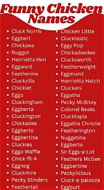 Funny and Unusual Names: a Hilarious Compilation