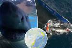Hilton Head Shark Attacks in South Carolina: a Comprehensive Guide