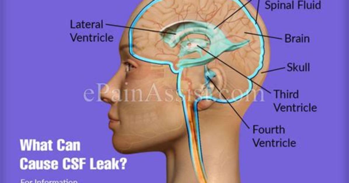 How They Can Leak into Your Brain