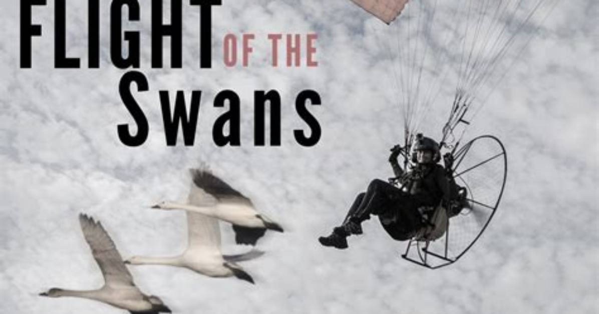 Human Swan Sacha Dench Makes a Comeback After Her Terrible Accident, Here Is What Happened to Her