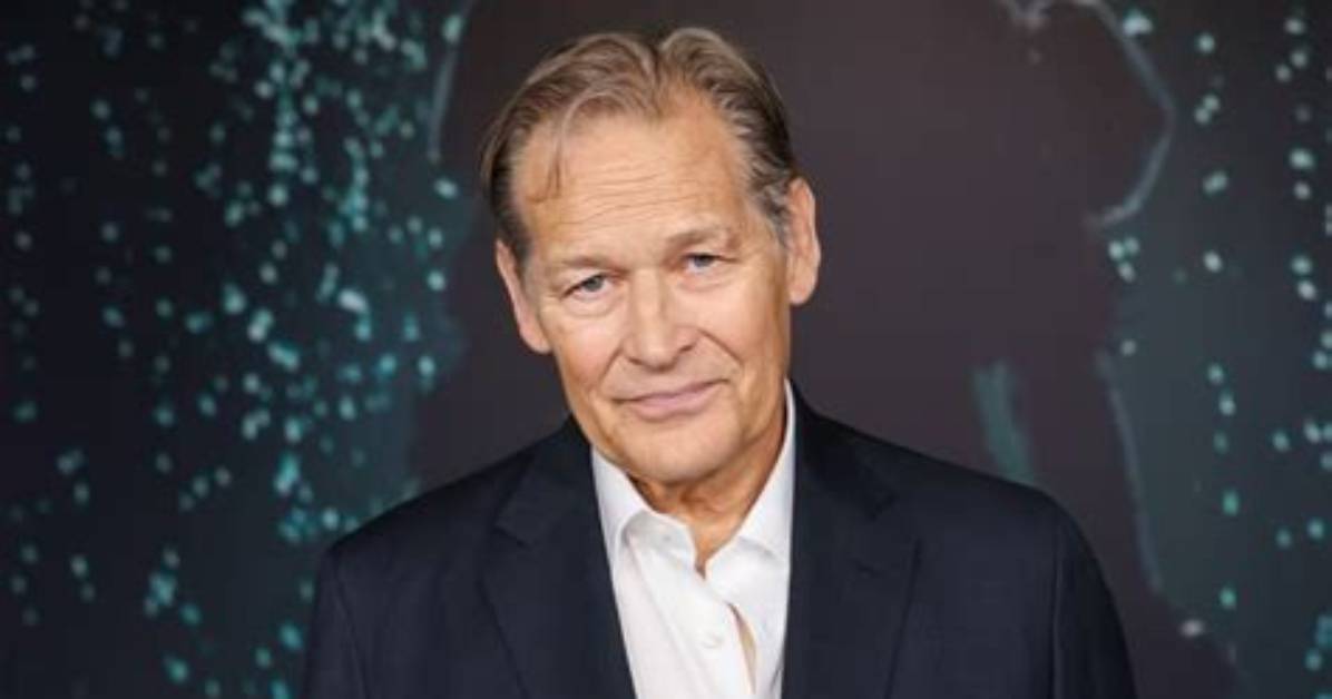 James Remar: Versatile Actor and Wikipedia Profile