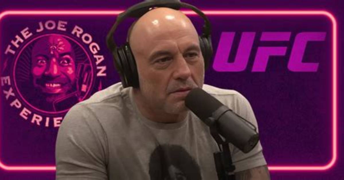 Joe Rogan's Ufc Career and Net Worth: a Comprehensive Breakdown