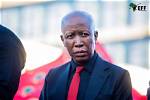 Julius Malema: Unveiling the Politician's Age