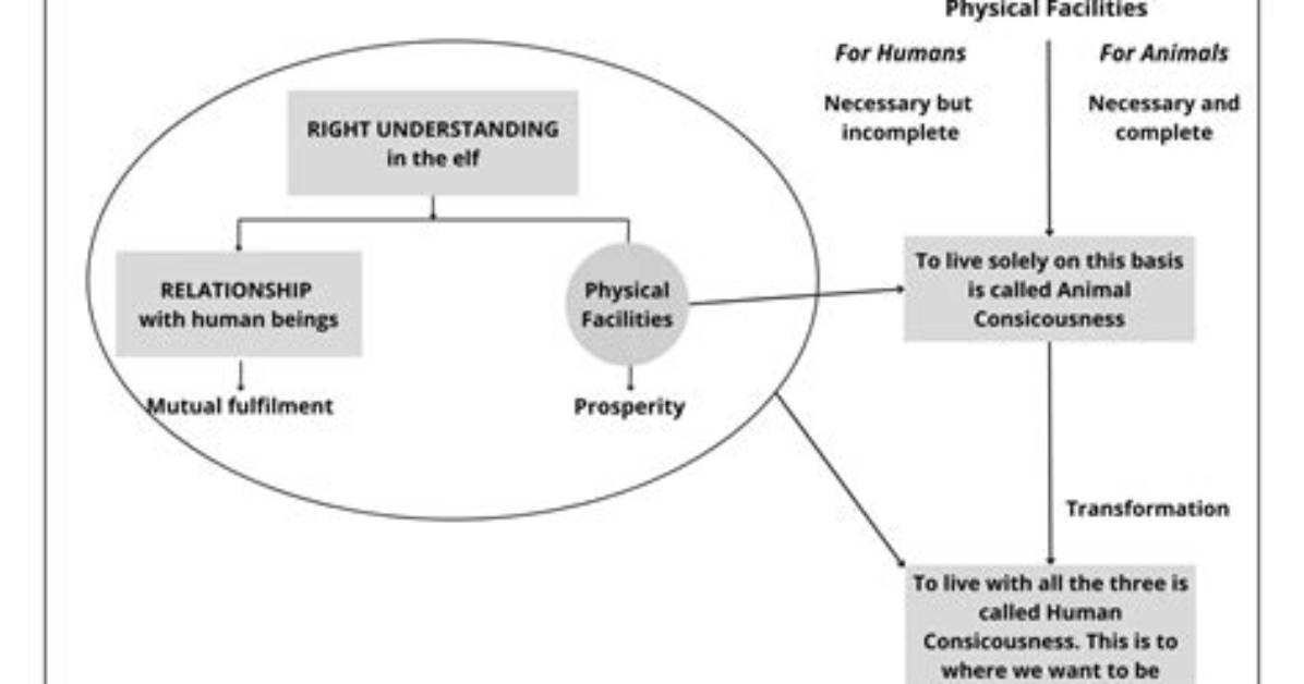 Living in Harmony: the Complex Dynamics of Roommates
