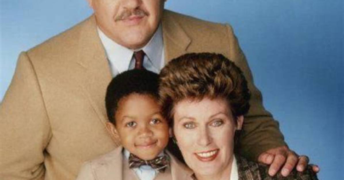 Meet the Iconic Webster Tv Star: a Journey Through Nostalgia and Stardom