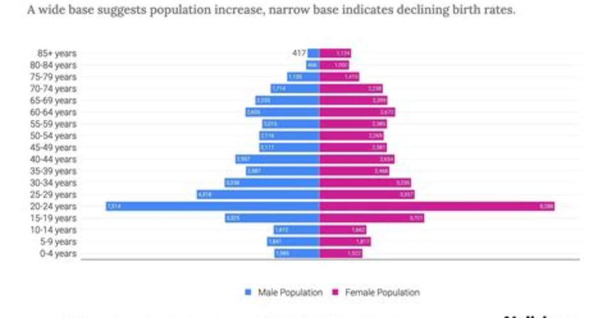Muslim Population in Bellingham: Demographics and Distribution