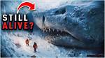 Nasa's Discovery of a Megalodon