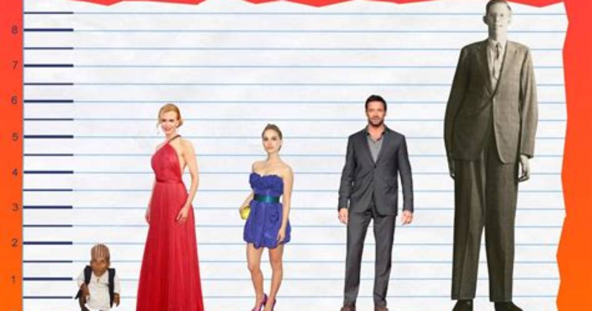 Nicole Kidman's Height in Feet and Inches: Unraveling the Enigma