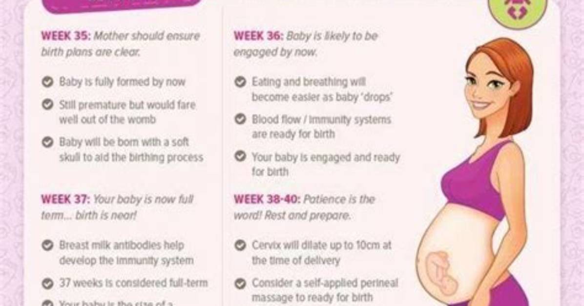 Nine Months Before March Pregnancy