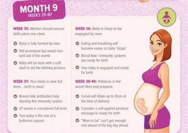 Nine Months Before March Pregnancy