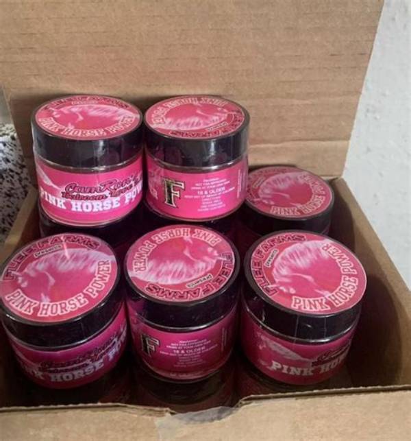 Pink Horse Power Reviews That Empower Women
