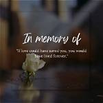 Quotes That Illuminate Love, Memory, and Identity
