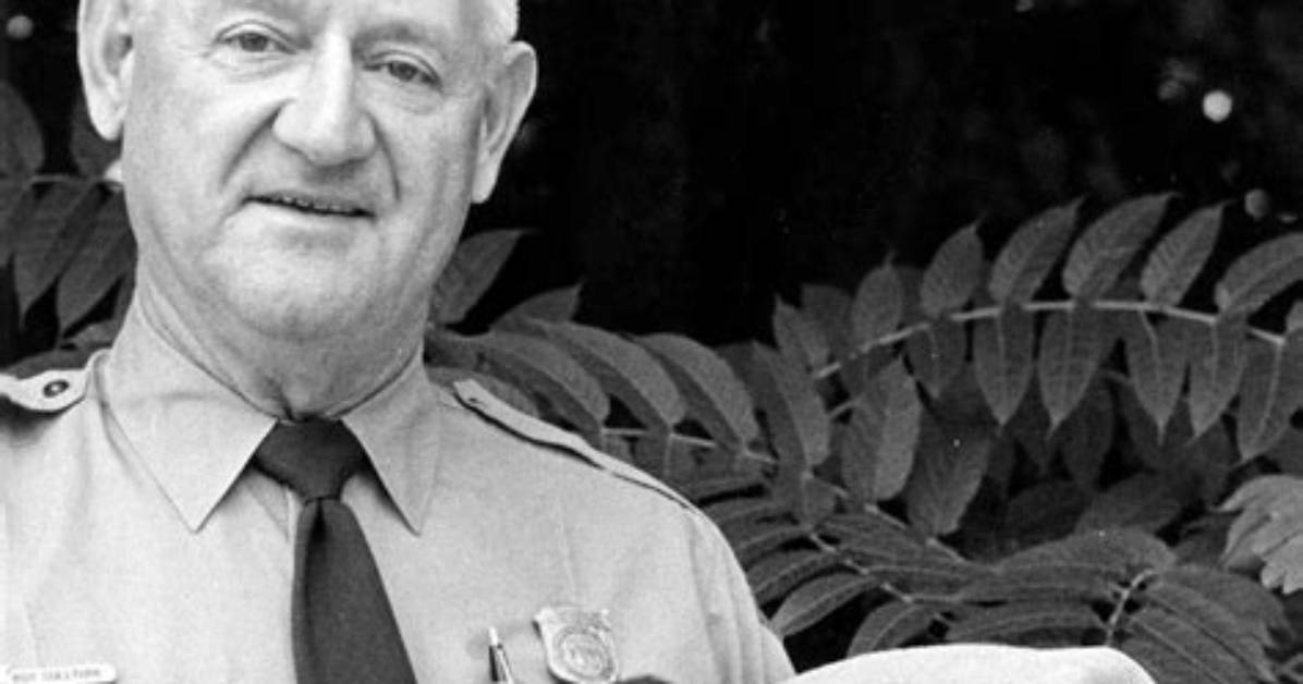 Roy Budd Height, Age, Who, Wife, Biography, Wiki, Net Worth