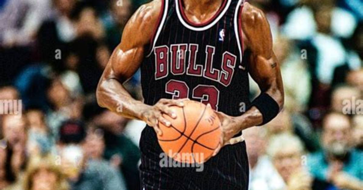 Scottie Pippen's Journey in 2004: the Transition Year
