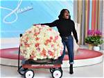 Sherri Shepherd Reveals Oprah Sent Her Huge Flower Arrangement, Reenacts Iconic Red Wagon Moment