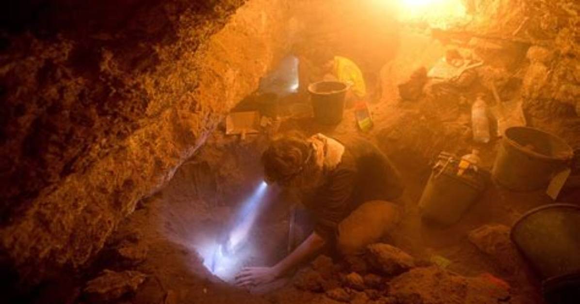 Shocking Gore: Uncovering the Horrors of Israel's Conflict