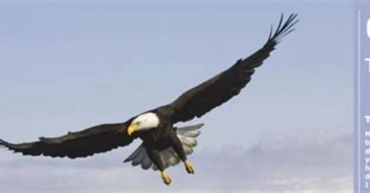 Soar to New Heights: Exploring the Majestic Summits of Mount Yamal