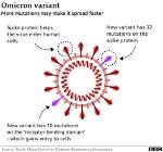 Spike Protein Vaccines Effective Against Covid Variants: Iit Study