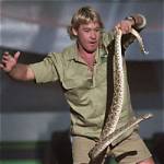Steve Irwin Height, Weight, Net Worth, Age, Birthday, Wikipedia, Who, Nationality, Biography