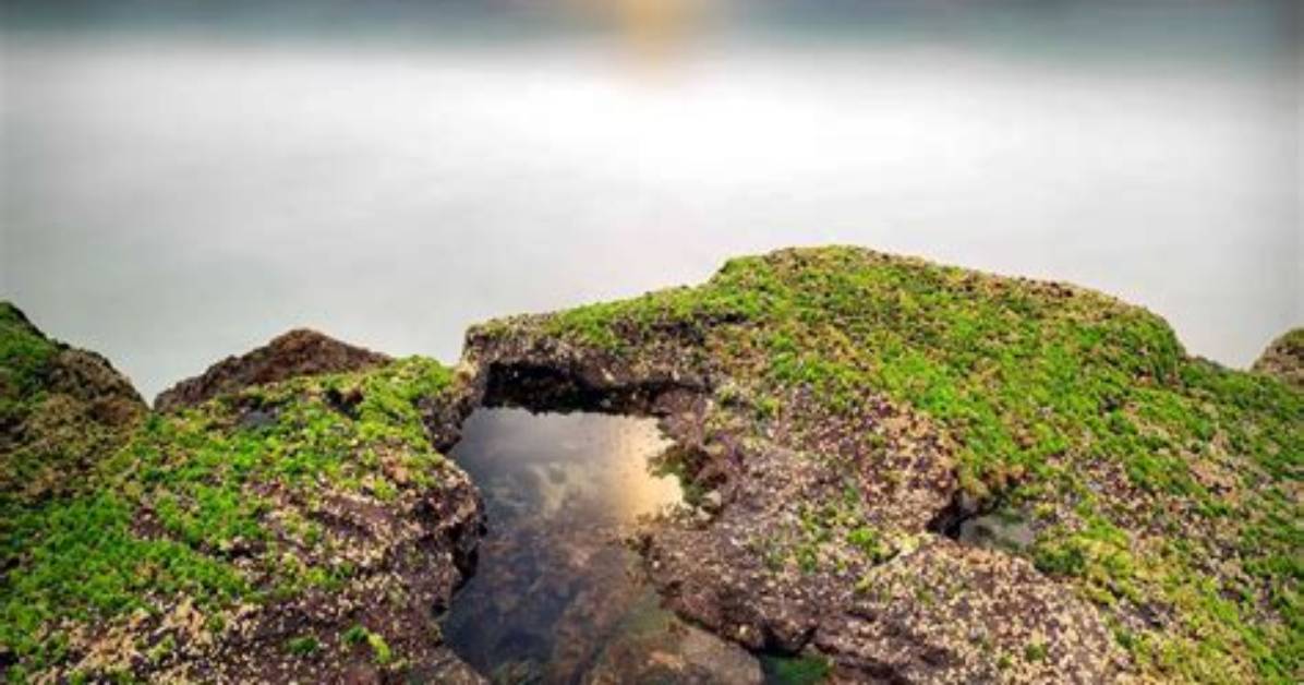 Stunning Visuals: Explore the Gallery of Jeff Goldblum's Captivating Images