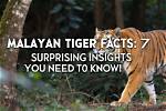 Surprising Facts and Astounding Insights