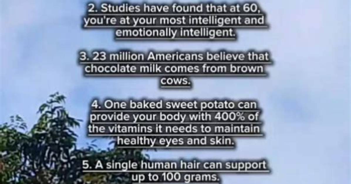 Surprising Facts and Inspiring Story