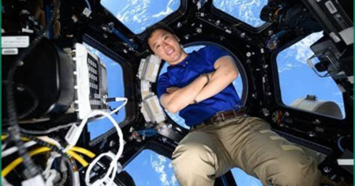 Surprising Insights and Discoveries for the Hdgallerygenius11 Niche