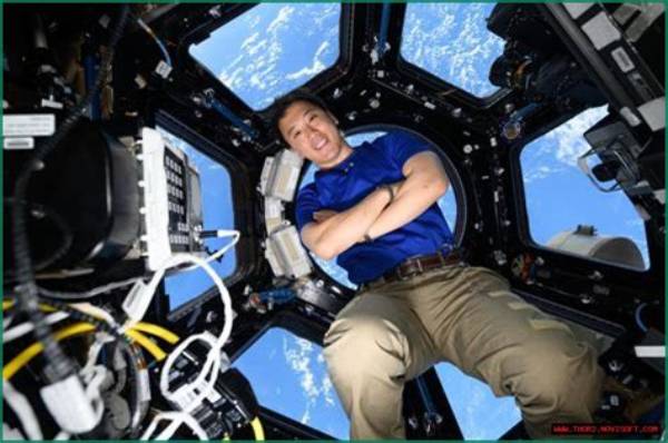 Surprising Insights and Discoveries for the Hdgallerygenius11 Niche