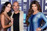 Teresa Giudice on Why She Felt ‘Sucker-Punched’ by Joe and Melissa Gorga: ‘I Kept My Mouth Shut for Year's’