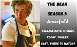 The Bear: Is Show Renewed or Canceled After Debut Season?
