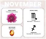 The Enigmatic Charm of the 20 November Star Sign