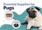 The Essential Guide to Pug Craniums: Shape, Features, and Health