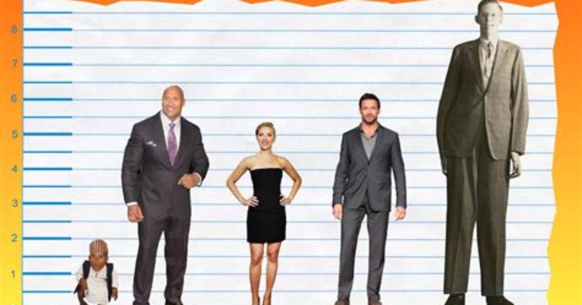 The Rock Height and Weight: Understanding the Physicality of a Legend