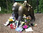 The Tragic Story of Harambe: What Really Happened