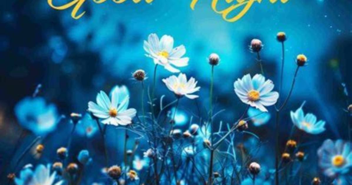 The Ultimate Collection of Goodnight Pictures: Dreamy and Heartfelt Goodnight Wishes
