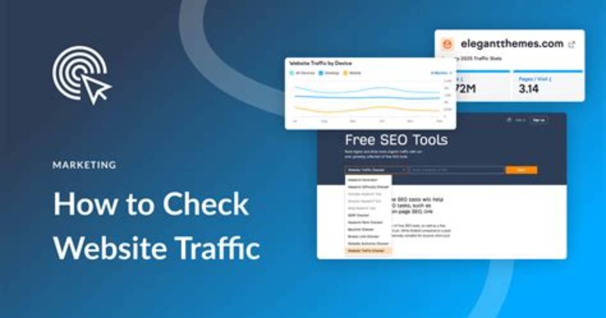 The Ultimate Guide to Check Website Traffic and Ranking