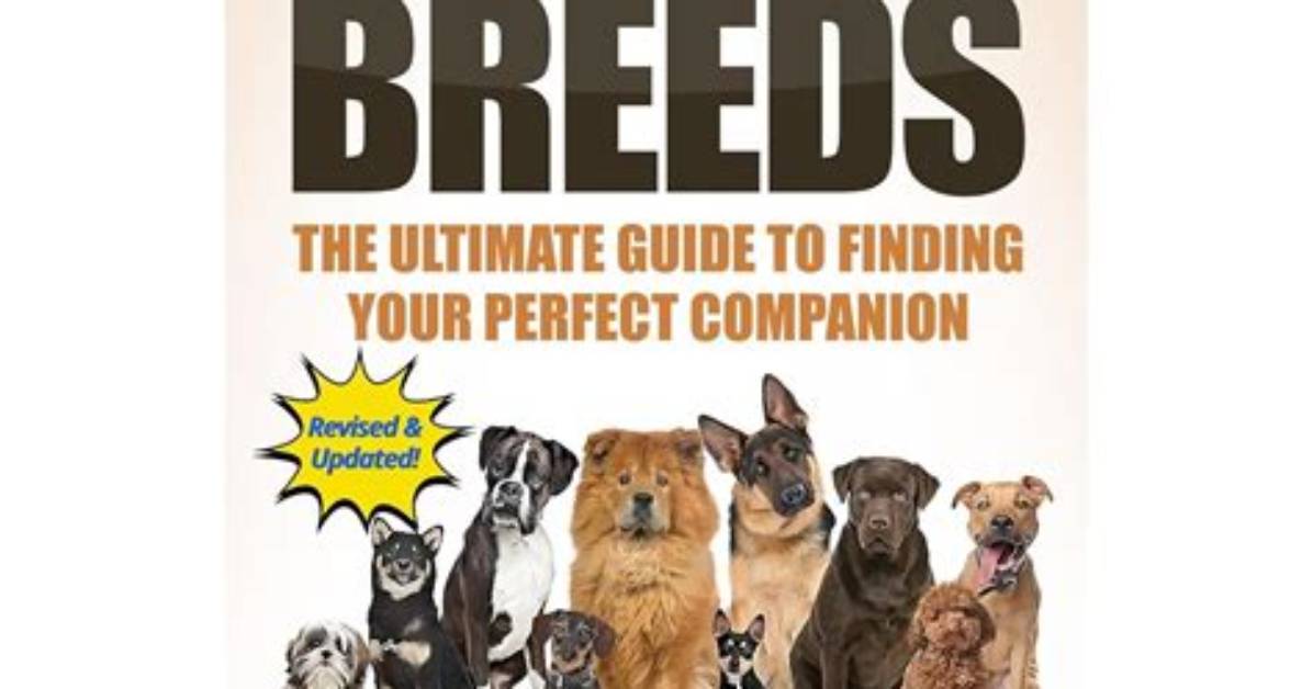 The Ultimate Guide to Finding Your Perfect Match