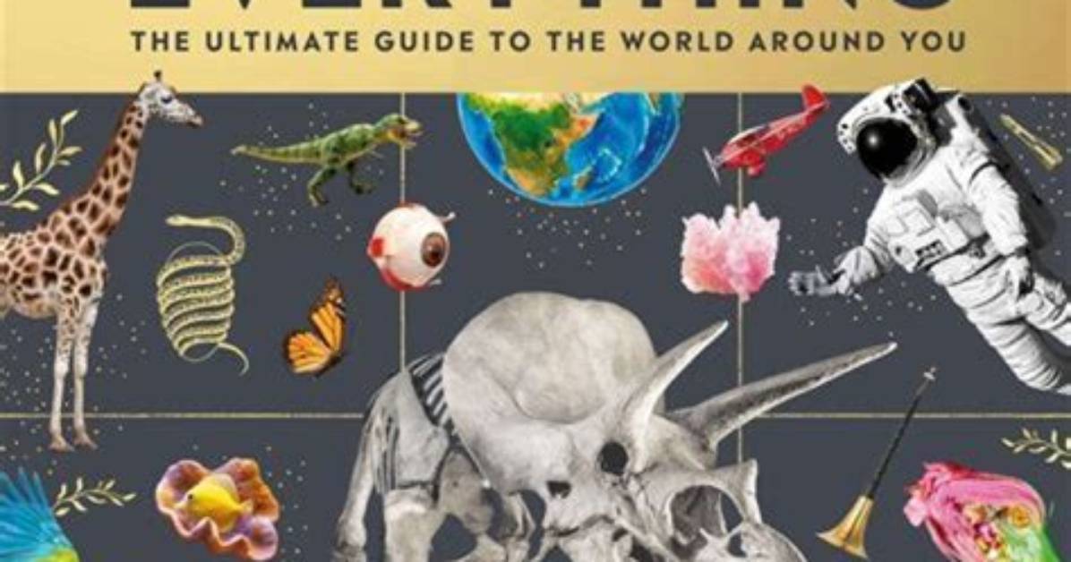 The Ultimate Guide to Fini Teale: Everything You Need to Know