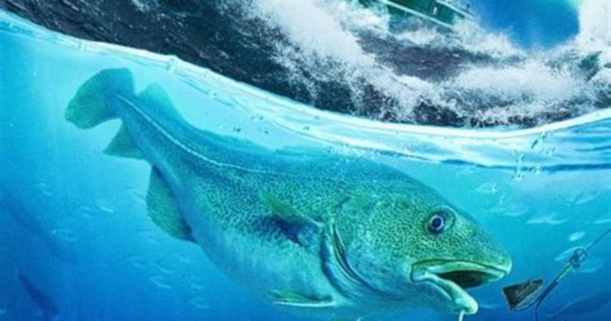 The Ultimate Guide to "Ice Cold Catch" Season 2