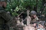 The Ultimate Guide to Operation Porcupine: Tactics and Strategies
