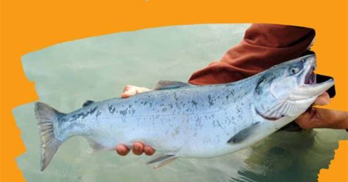 The Ultimate Guide to Salmon Fishing in Yemen: an Uncommon Adventure