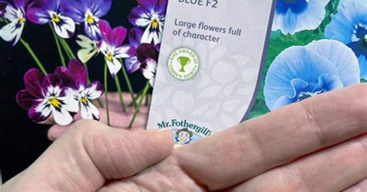 The Ultimate Guide to Successful Pansy Germination: a Comprehensive Handbook