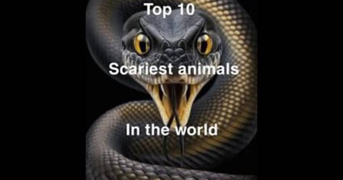 The Ultimate Guide to the Scariest Animals on Earth