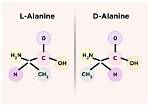 The Ultimate Guide to Understanding L-Alanine Supplementation for Wage Optimization